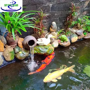 Chi phí làm hồ cá - Điều cần biết để tạo không gian sống đẹp