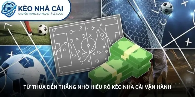 Chia sẻ thật về kinh nghiệm cá cược không phải ai cũng dám nói 1 jpg 69ec9949cae5d