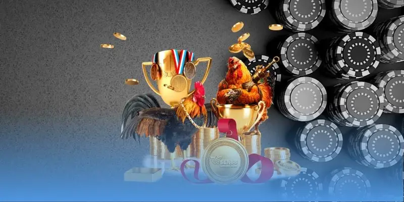 Đá Gà Thomo Trực Tiếp Không Giật Lag Mượt Từng Khoảnh Khắc 2 jpg 69ecee9e20361