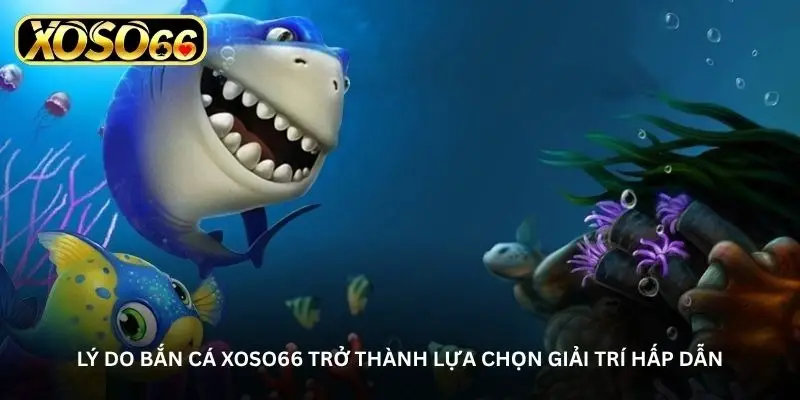Xoso66 Fish Shooting - Bringing you a vibrant entertainment experience every day. 1 jpg 6a4918d8e7416
