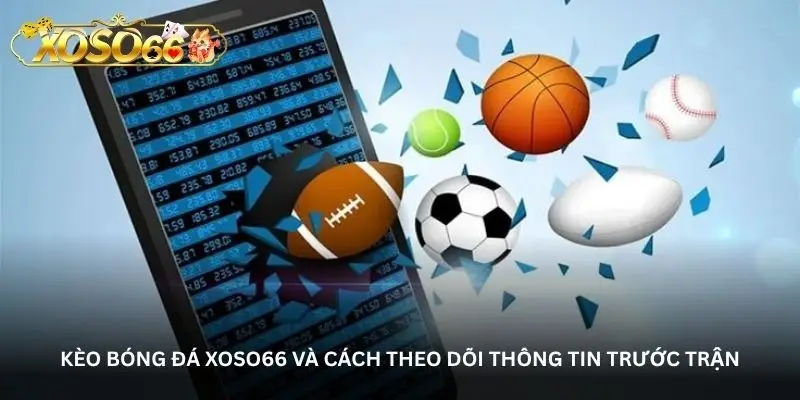Xoso66 Sports – A vibrant arena for sports enthusiasts. 2 jpg 6a8ea13d1cda9