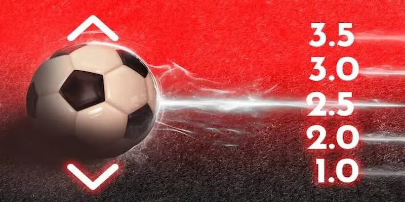 Over/Under Betting – Discover Popular Betting Types 3 jpg 6a96dac5a7948