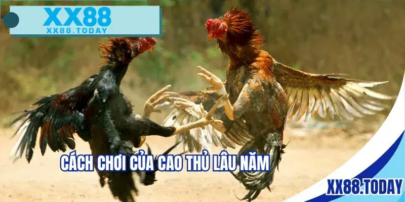 png 6a1e94bfd40e1