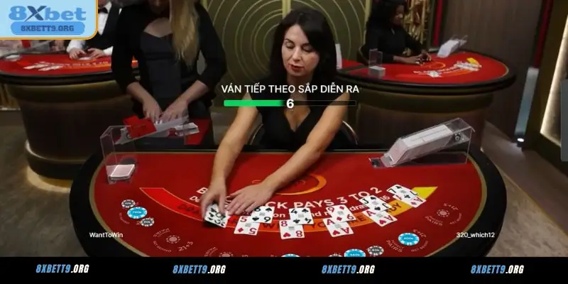 8XBET – What to Know When Exploring the Online Casino Platform 2 png 6a9c334ec3b73