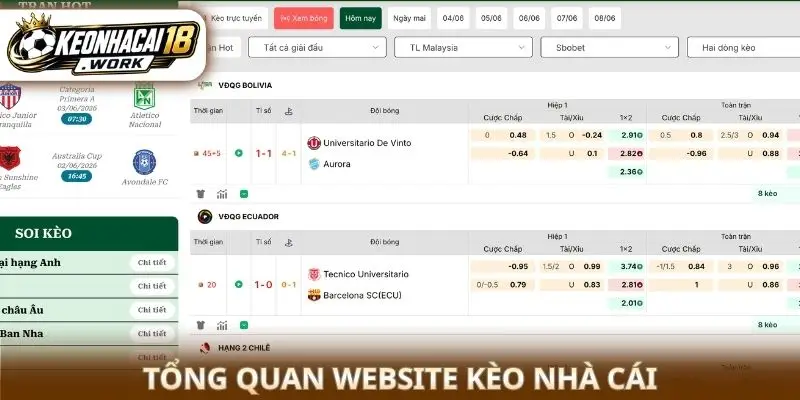 Bookmaker Odds and How to Systematically Interpret Odds Information 1 png 6ab79c3896d64