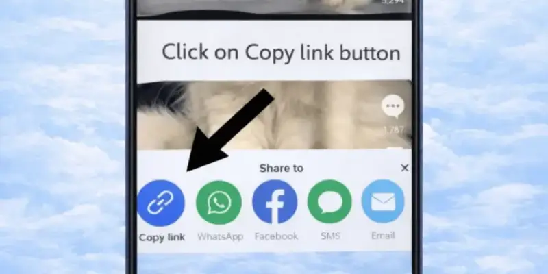 Snaptikid.com công cụ tải video không logo chuẩn nhất 3 png 6abbbdcaaaf22