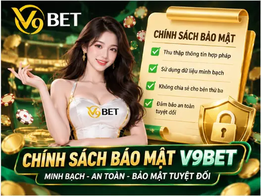 V9Bet and How to Protect Personal Data While Using the Service 3 png 6ac236165db24