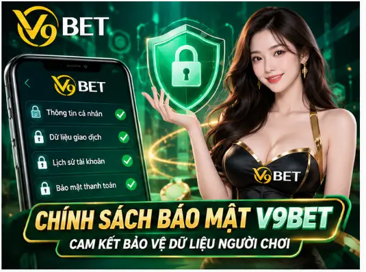 V9Bet and How to Protect Personal Data While Using the Service 2 png 6ac236165df9e