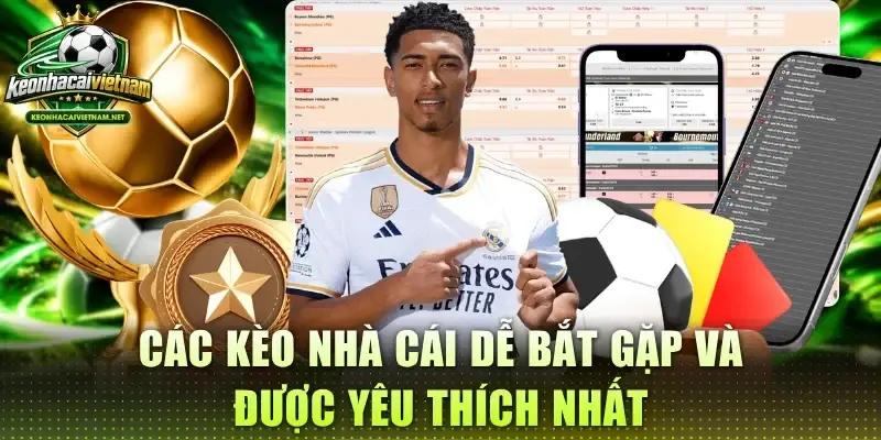 Keo Nha Cai: A Guide to Reading Odds and Effectively Analyzing Football Bets 2 png 6acf88d07649f