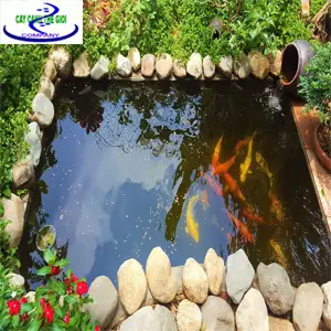 Thi công bể cá nhà hàng - Nghệ thuật và Kỹ thuật cho Giao Thoa Nghệ Thuật Ẩm Thực