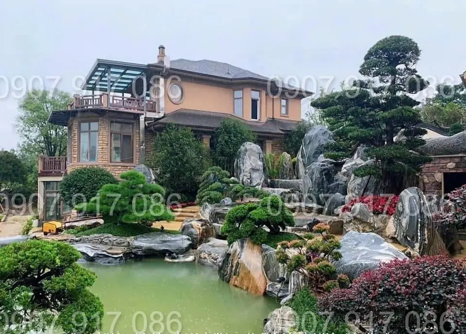 Thi công hồ cá koi giá rẻ - Tạo dựng không gian sống xanh đẹp mắt
