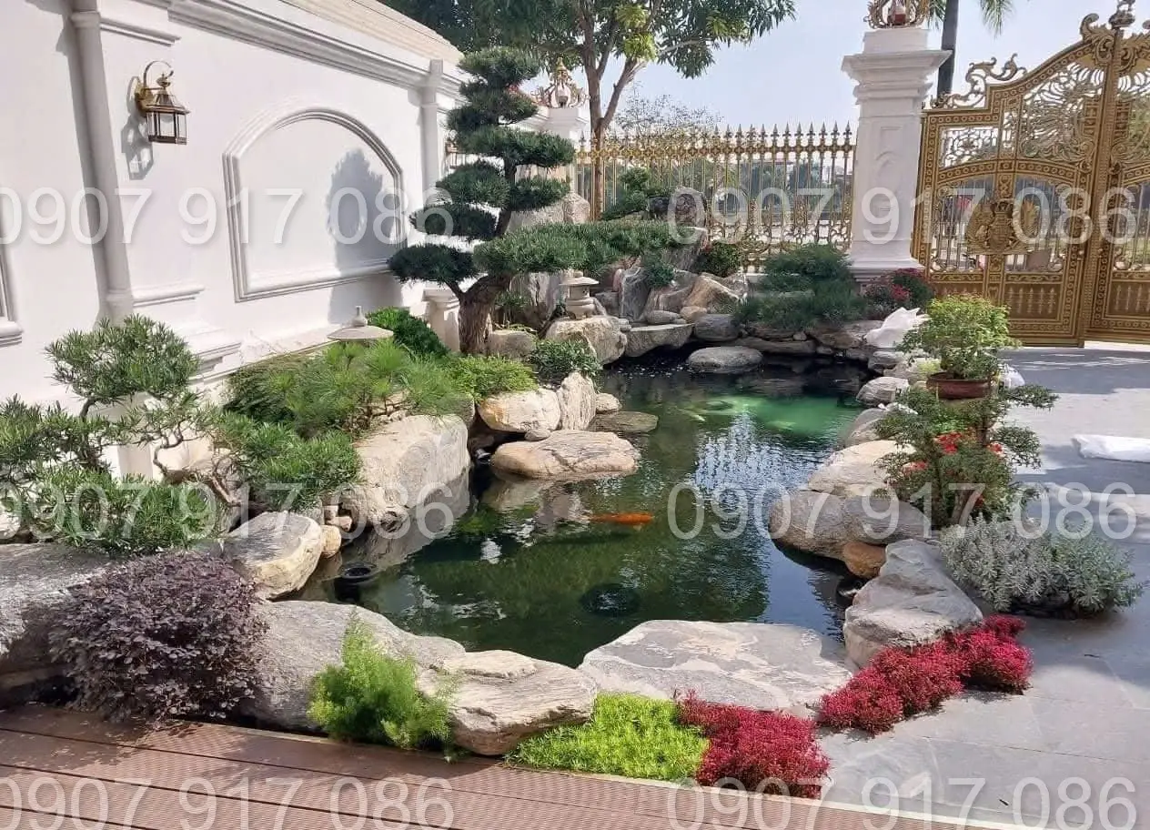 Thi công hồ cá koi mini ngoài trời - Tạo không gian sống sinh động và thư giãn