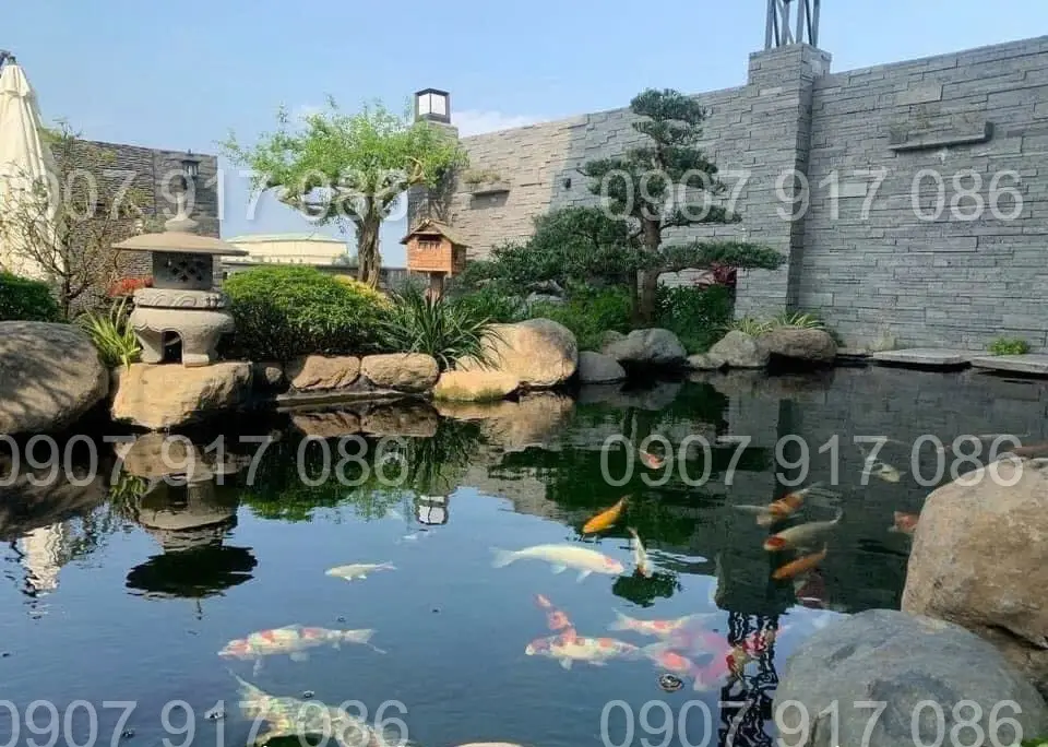 Thiết Kế Bể Cá Tiểu Cảnh Sân Vườn - Tạo Nên Không Gian Nghệ Thuật Trong Ngôi Nhà Bạn