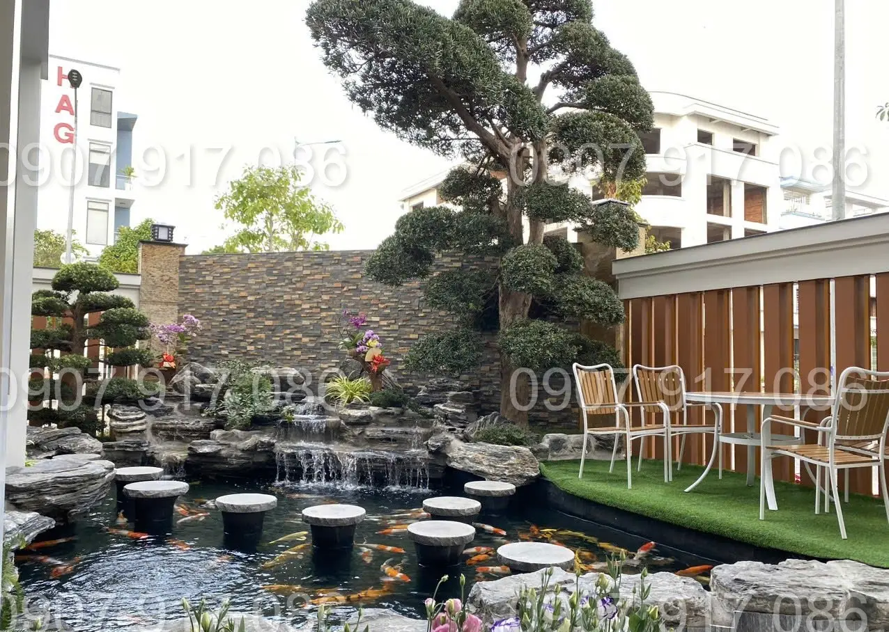 Tiểu cảnh hồ cá mini trong nhà - Nghệ thuật trang trí sống động cho không gian