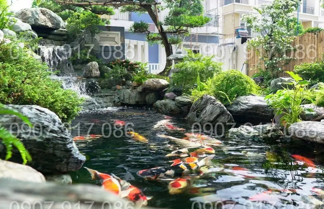 Tiểu cảnh hồ cá mini trong nhà - Nghệ thuật trang trí sống động cho không gian